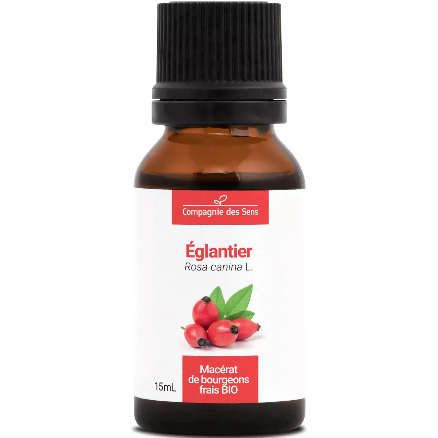 Églantier bio (Rosa Canina) – Macérat concentré de bourgeons frais