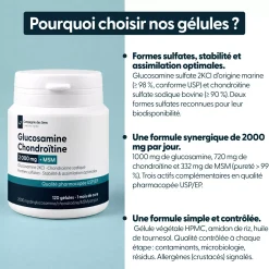 Glucosamine 2kcl + Chondroïtine sodique + msm