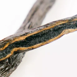 Gousses de Vanille Bourbon de Madagascar bio