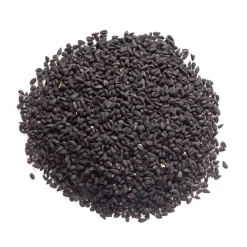 Graines de Nigelle bio
