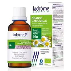 Grande Camomille (Partenelle) bio – Tanacetum Parthenium – Extrait hydroalcoolique concentré
