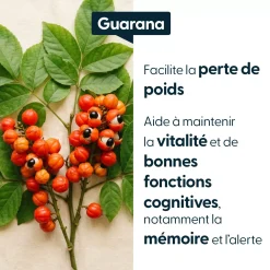 Guarana concentré