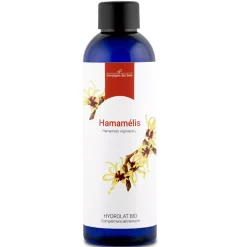 Hamamelis