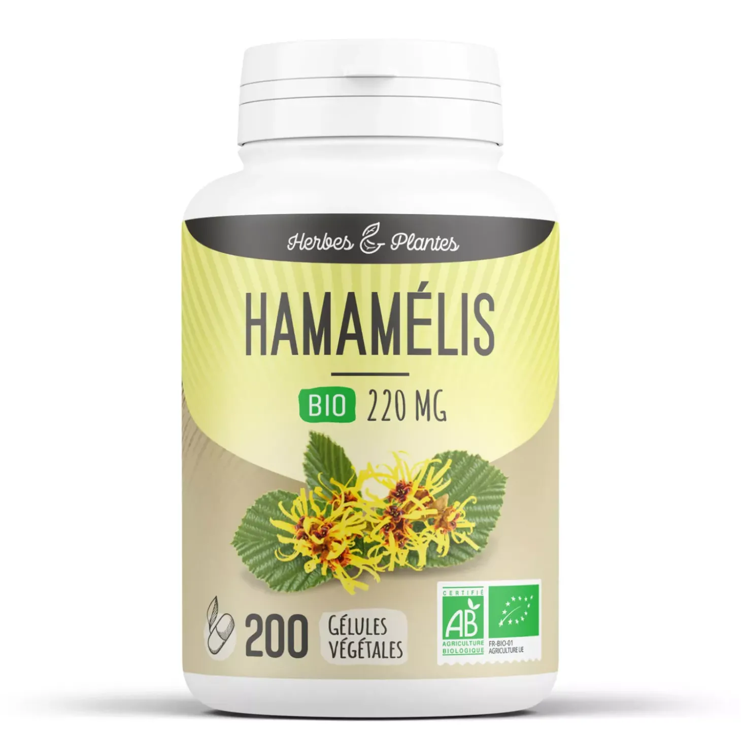 Hamamélis bio