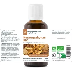 Harpagophytum bio (Harpagophytum Procumbens) – Extrait hydroalcoolique concentré