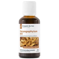 Harpagophytum bio (Harpagophytum Procumbens) – Extrait hydroalcoolique concentré