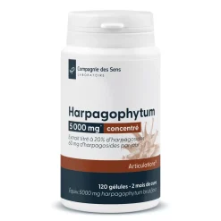 Harpagophytum concentré