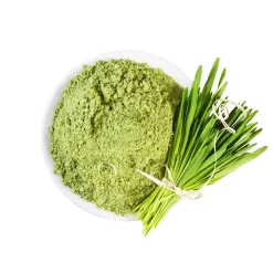 Herbe d’Orge bio