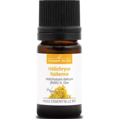 Hélichryse italienne
