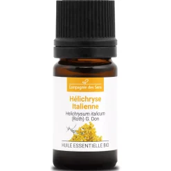 Hélichryse italienne