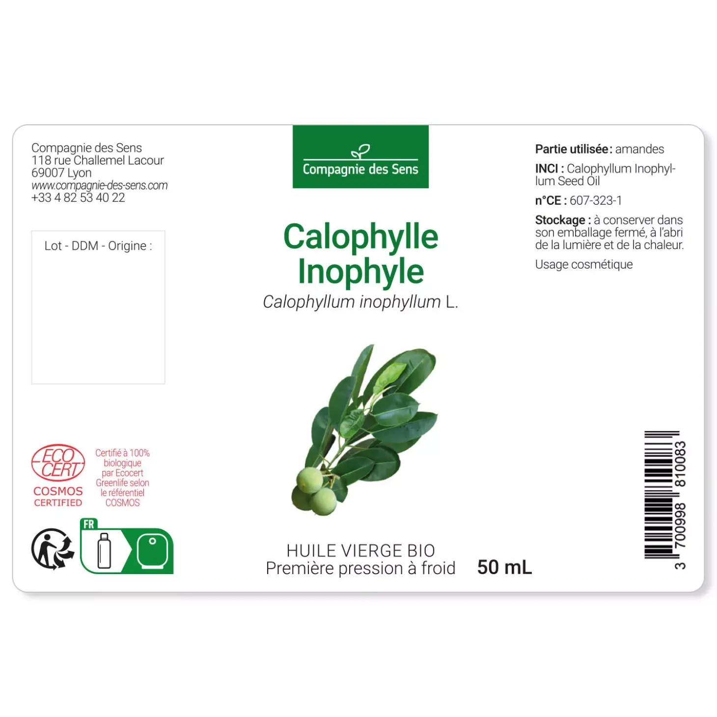 Huile de Calophylle Inophyle bio