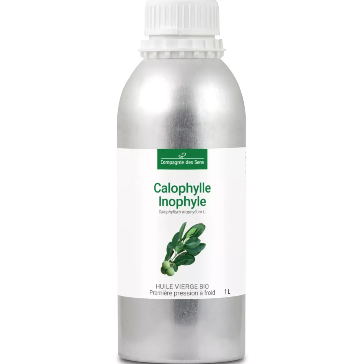 Huile de Calophylle Inophyle bio