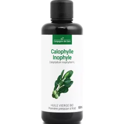 Huile de Calophylle Inophyle bio