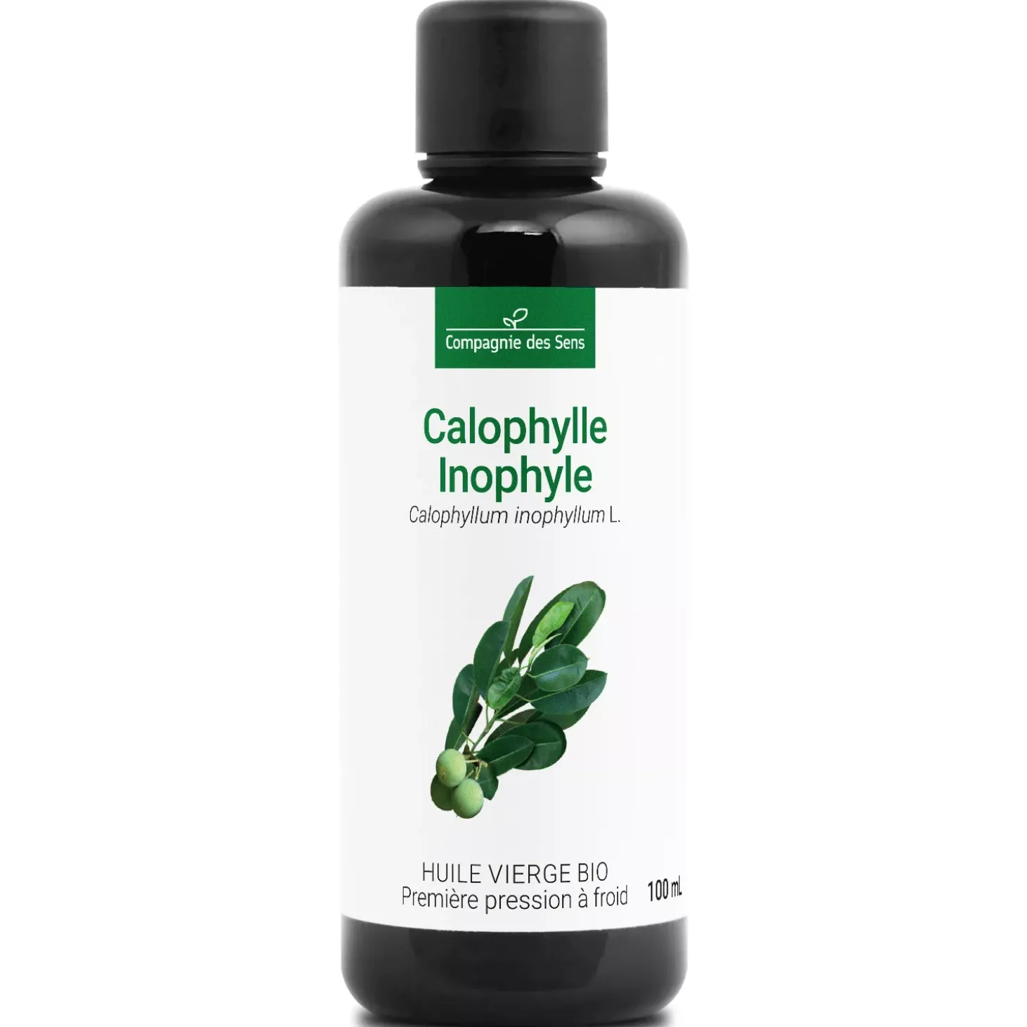 Huile de Calophylle Inophyle bio
