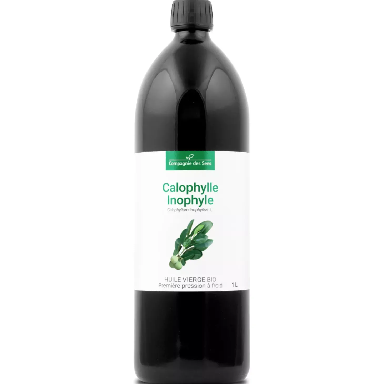 Huile de Calophylle Inophyle bio
