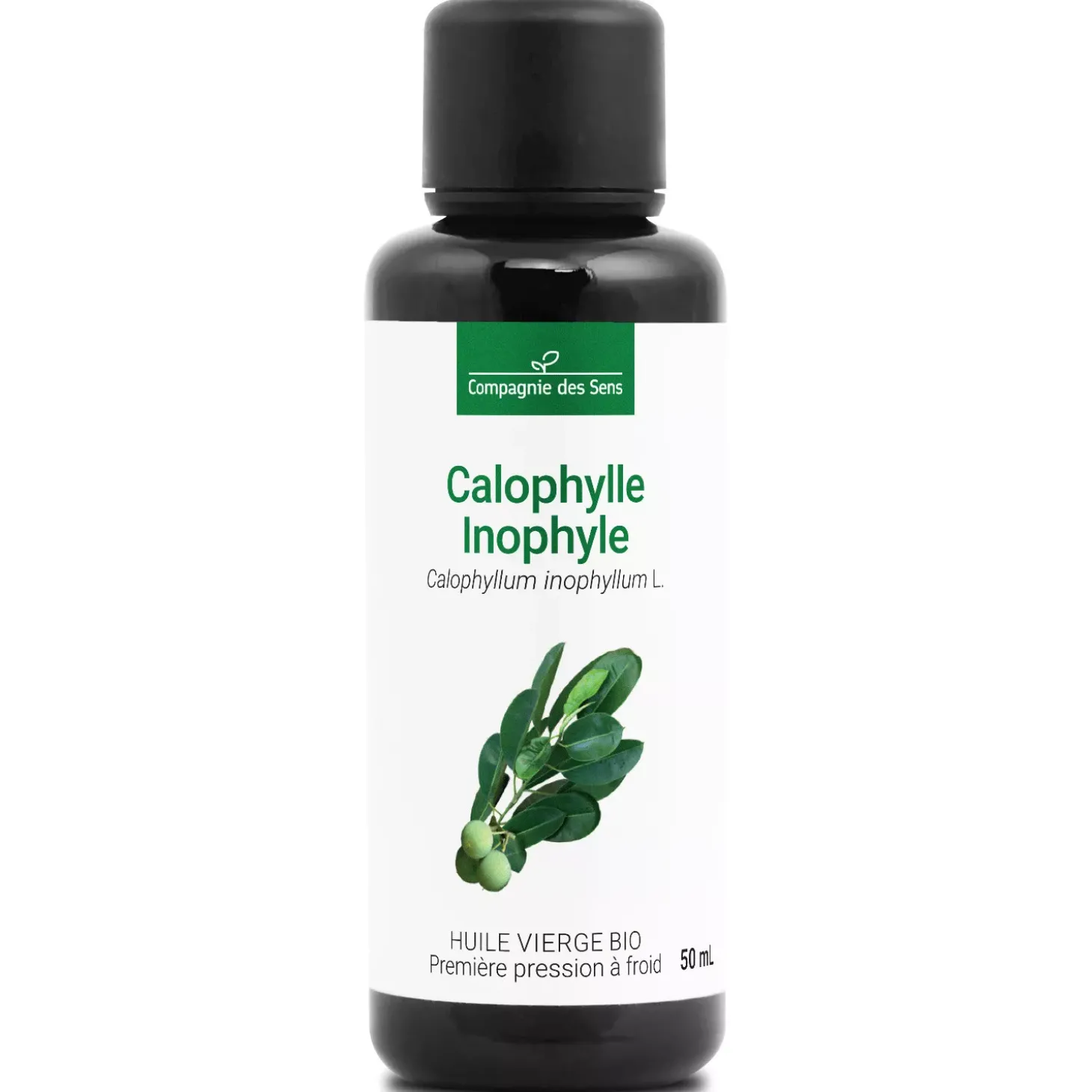Huile de Calophylle Inophyle bio