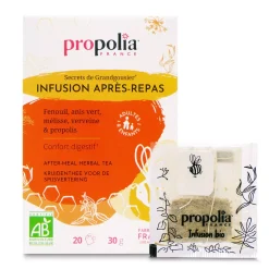 Infusion Après Repas bio