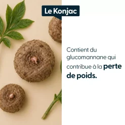 Konjac concentré