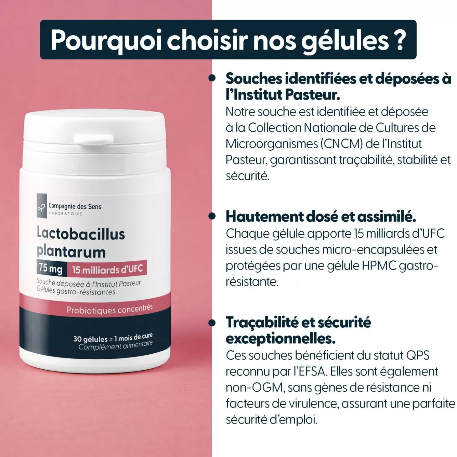 Lactobacillus plantarum