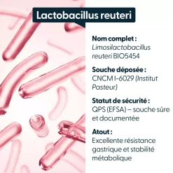 Lactobacillus reuteri