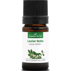 Laurier noble (Laurus Nobilis)