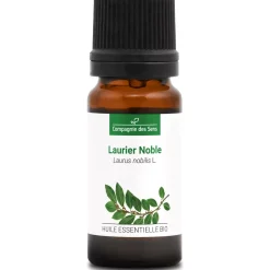 Laurier noble (Laurus Nobilis)