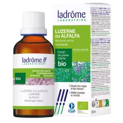 Luzerne (Alfalfa) bio – Medicago Sativa – Extrait hydroalcoolique concentré