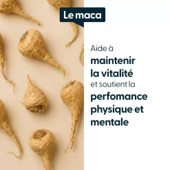 Maca concentrée