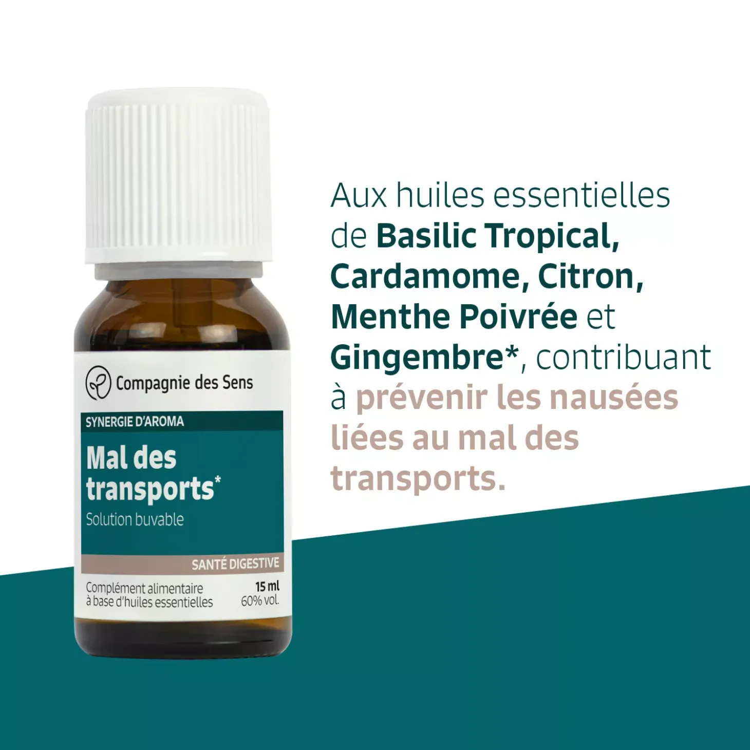 Mal des transports