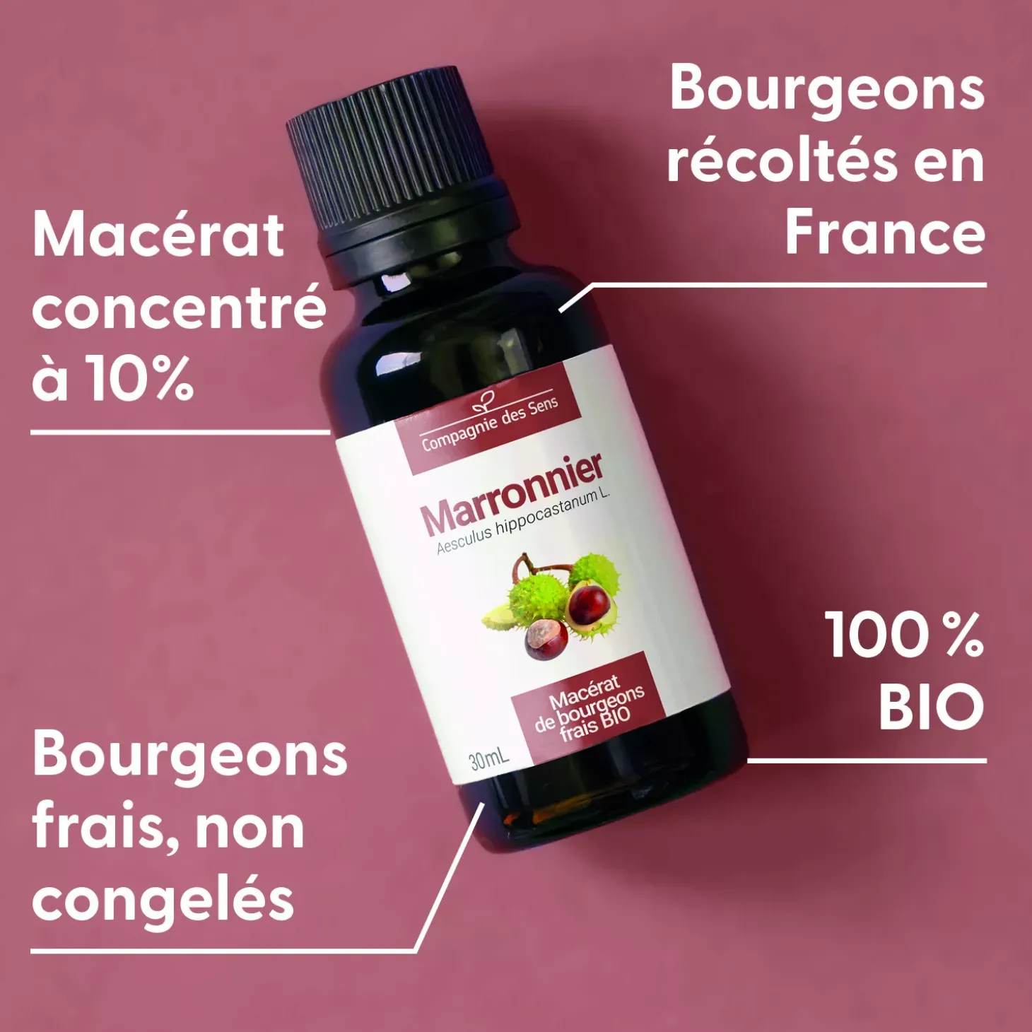 Marronnier bio (Aesculus Hippocastanum) – Macérat concentré de bourgeons frais