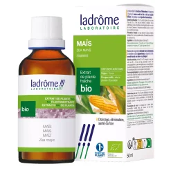 Maïs (Blé d’Inde) bio – Zea Mays – Extrait hydroalcoolique concentré