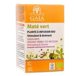 Maté Vert bio en Sachets