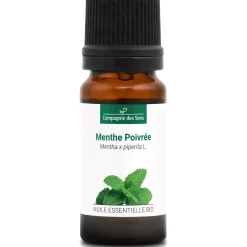Menthe poivrée (Mentha piperita)