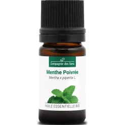 Menthe poivrée (Mentha piperita)