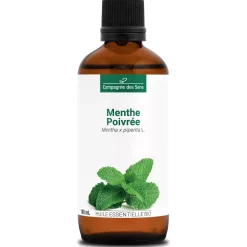 Menthe poivrée (Mentha piperita)