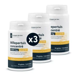 Millepertuis concentré