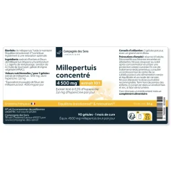 Millepertuis concentré