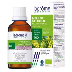 Mélilot Officinal (Petit trèfle jaune) bio – Melilotus Officinialis – Extrait hydroalcoolique concentré