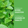 Mélisse bio (Melissa Officinalis) – Extrait hydroalcoolique concentré