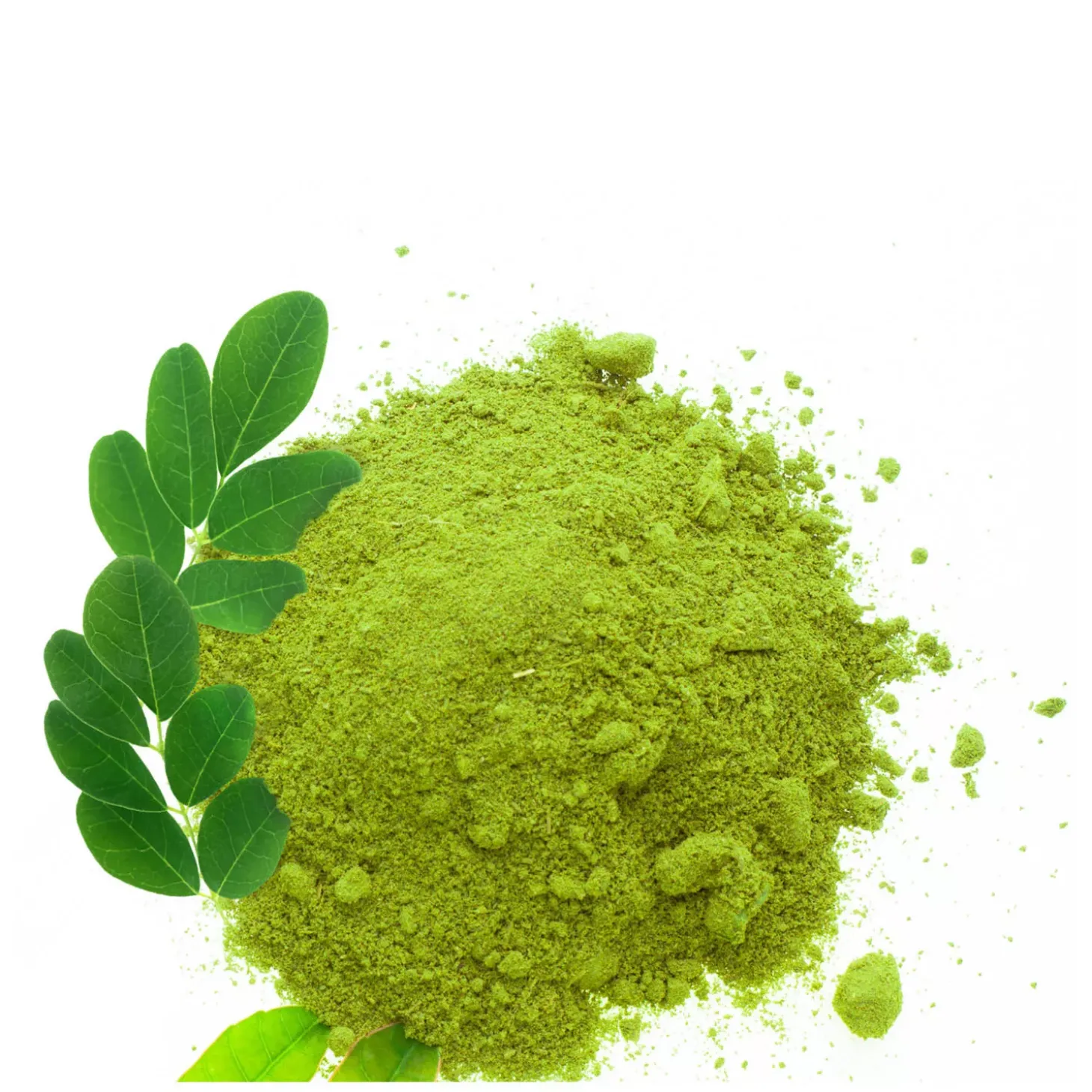Moringa bio