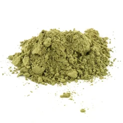 Moringa bio (en poudre)