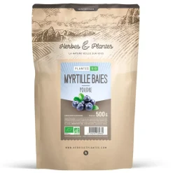 Myrtille bio (baie)