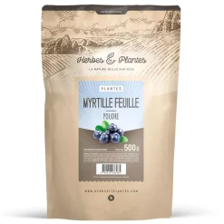Myrtille (feuille)