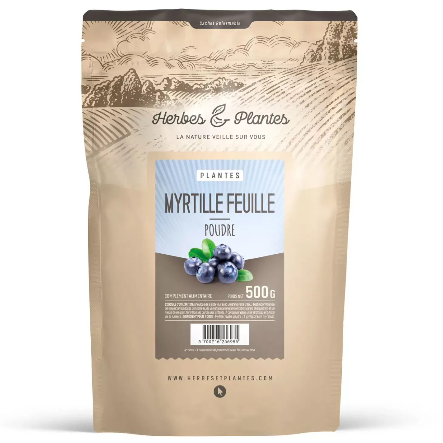 Myrtille (feuille)