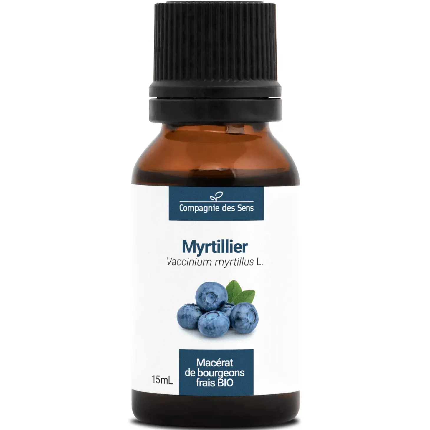 Myrtillier bio (Vaccinium Myrtillus) – Macérat concentré de bourgeons frais