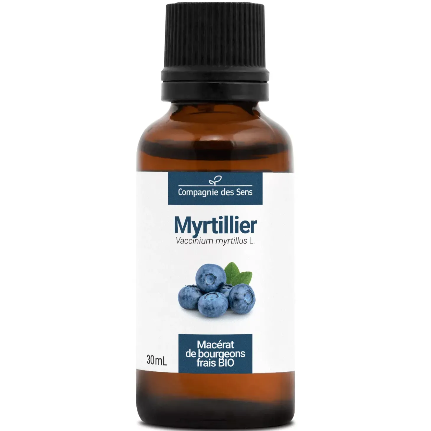 Myrtillier bio (Vaccinium Myrtillus) – Macérat concentré de bourgeons frais