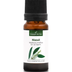 Niaouli   (Melaleuca viridiflora)