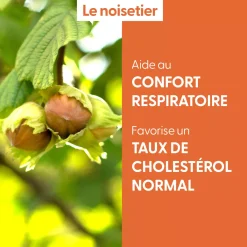 Noisetier bio (Corylus Avellana) – Macérat concentré de bourgeons frais