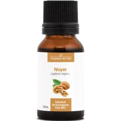 Noyer bio (Juglans Regia) – Macérat concentré de bourgeons frais