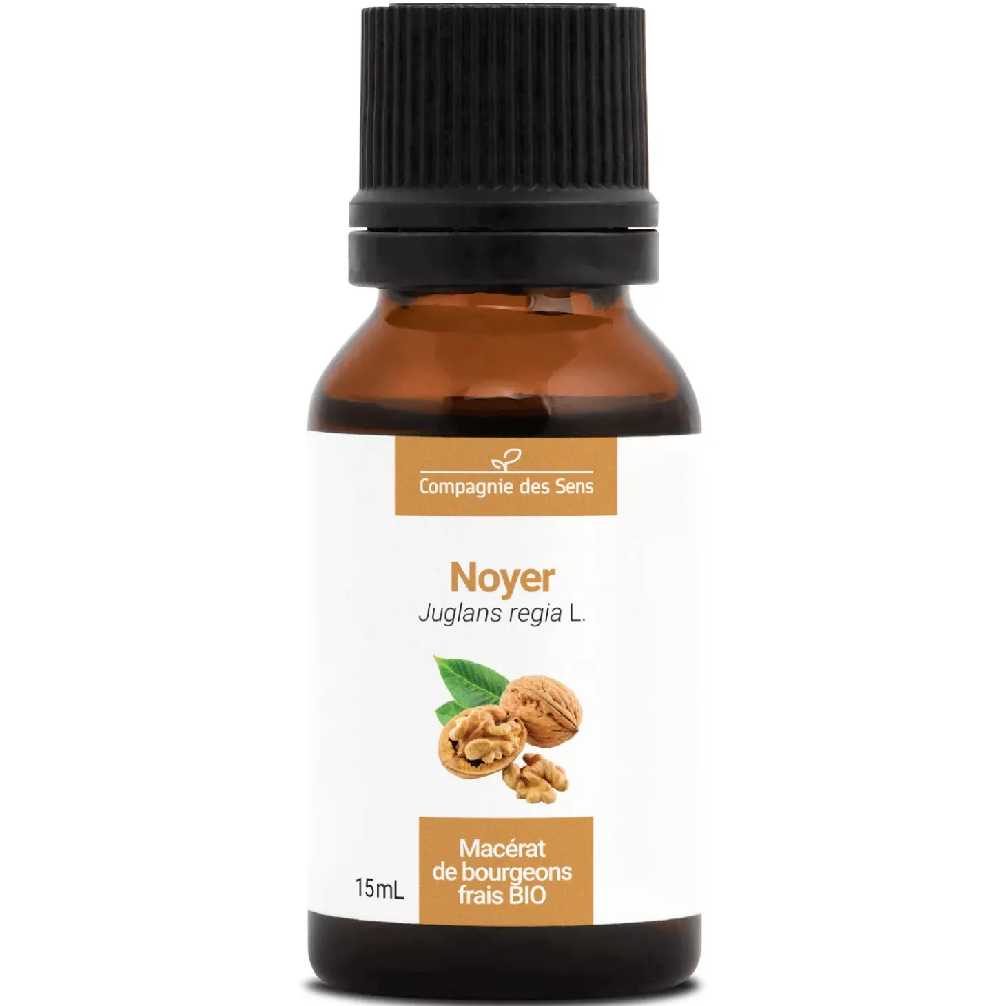 Noyer bio (Juglans Regia) – Macérat concentré de bourgeons frais